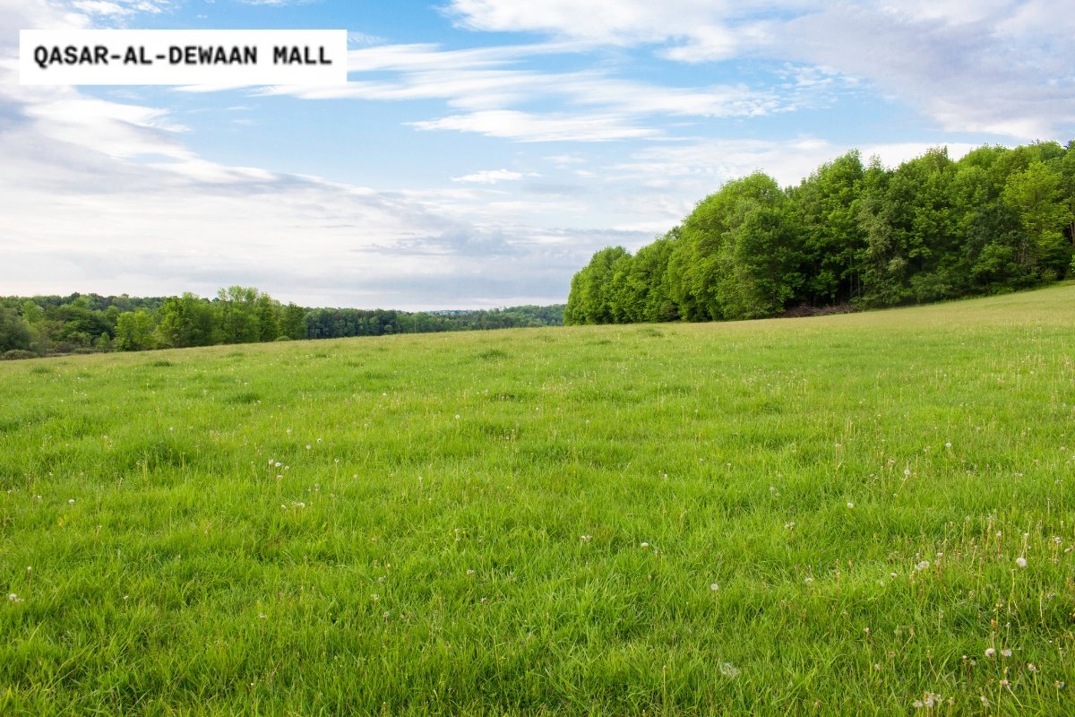 Best commercial investment in Lahore