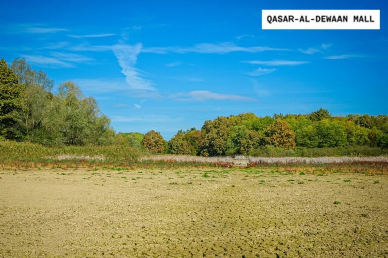 Best commercial investment in Lahore